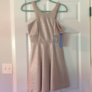 Size small silver dress